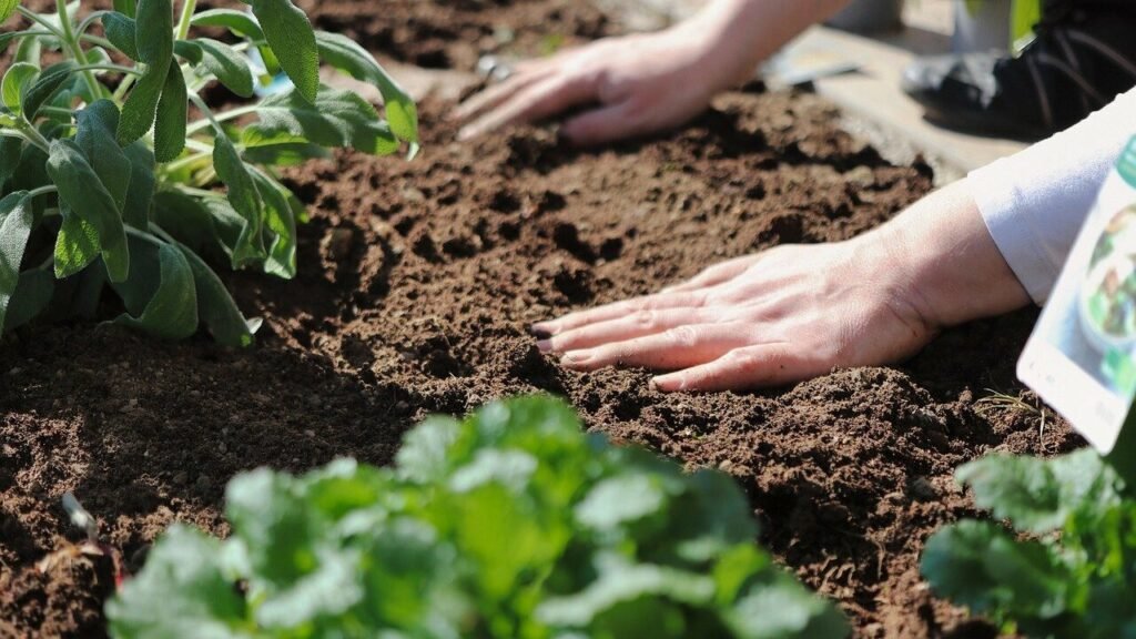 Incorporating proper soil amendments is crucial for the long-term health of your plants.