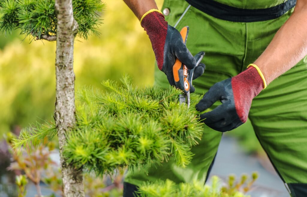 Shears are a very useful tool for trimming, pruning, and clipping unwanted growth in your landscape.