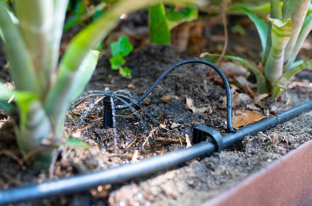 Drip irrigation is a great way to conserve water while ensuring your plants receive ample moisture.